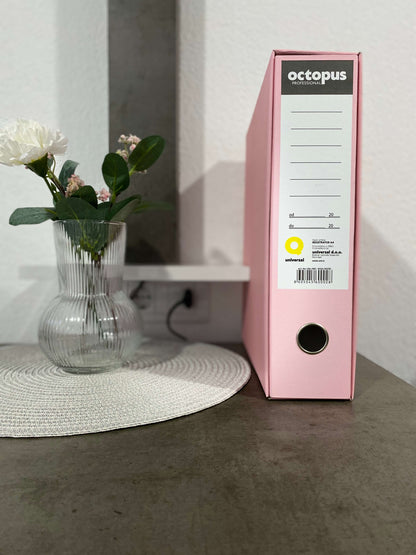 Pijani registrator - rozi